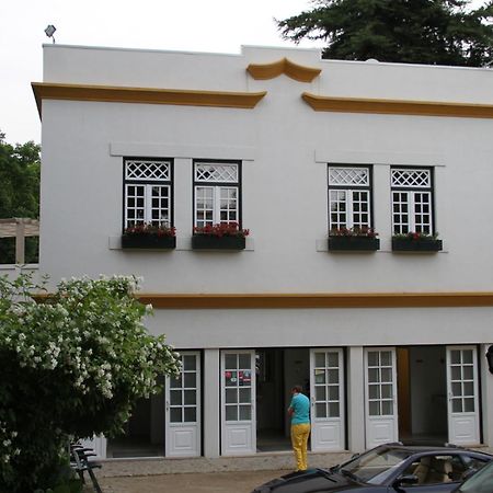 Camping Lamego Douro Valley المظهر الخارجي الصورة