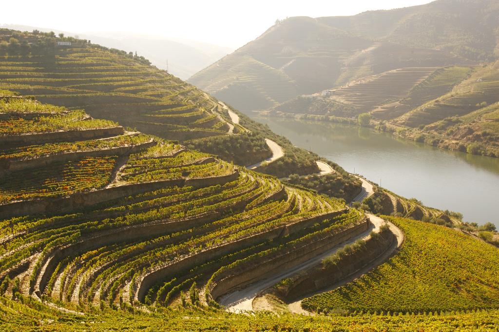 Camping Lamego Douro Valley المظهر الخارجي الصورة