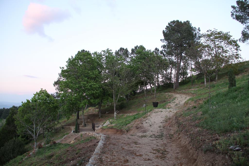 Camping Lamego Douro Valley المظهر الخارجي الصورة